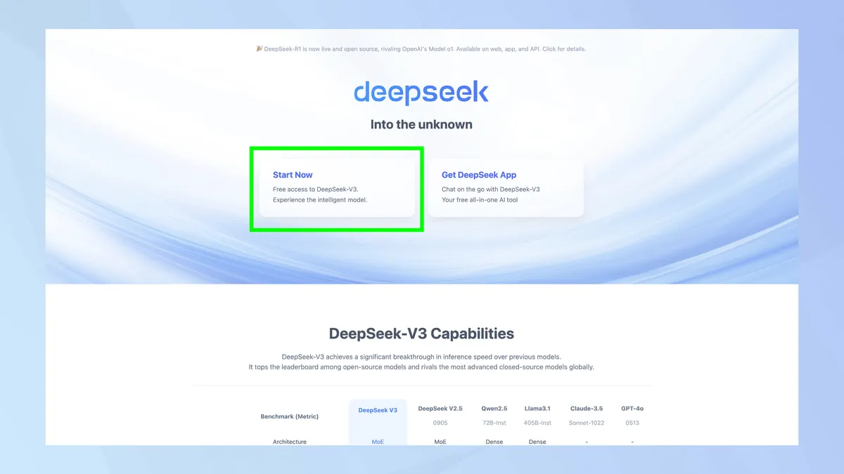 DeepSeek 2