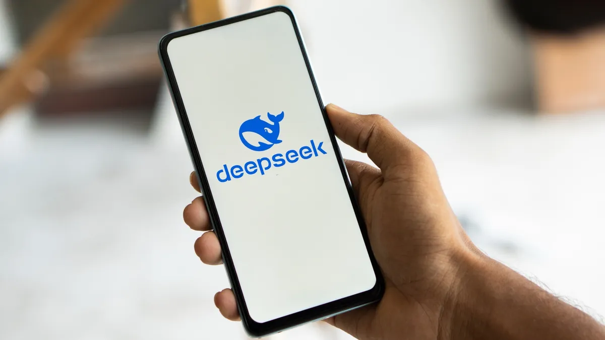 DeepSeek 6