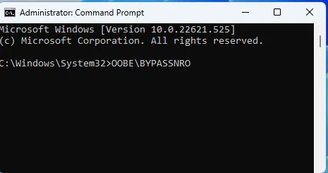 Hướng dẫn cài đặt và đăng nhập vào Windows 11 mà không cần tài khoản Microsoft 23 Huong dan cai dat va dang nhap vao Windows 11 ma khong can tai khoan Microsoft 2
