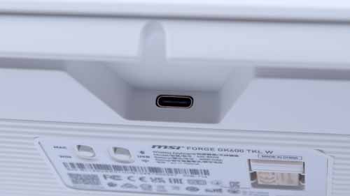 MSI FORGE GK600 TKL 11