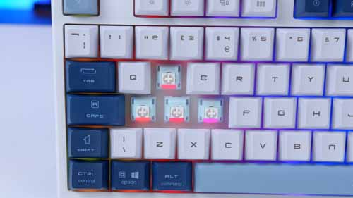 MSI FORGE GK600 TKL 7