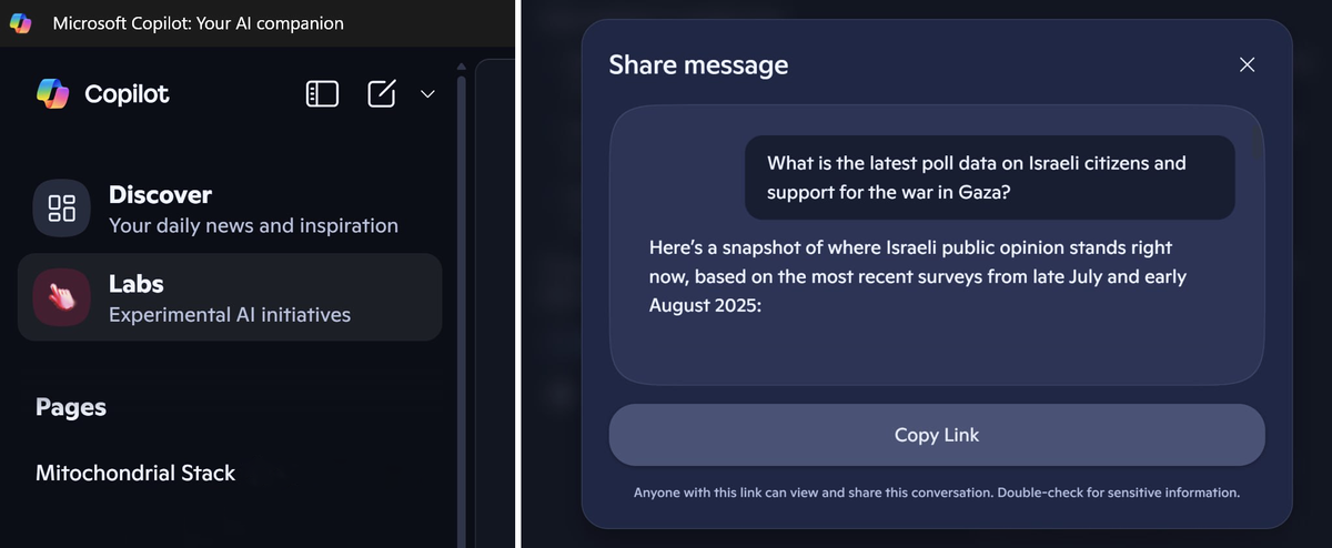 Ứng dụng Copilot của Windows 11 được nâng cấp: Cùng khám phá công cụ hữu ích này 11 Ung dung Copilot cua Windows 11 5