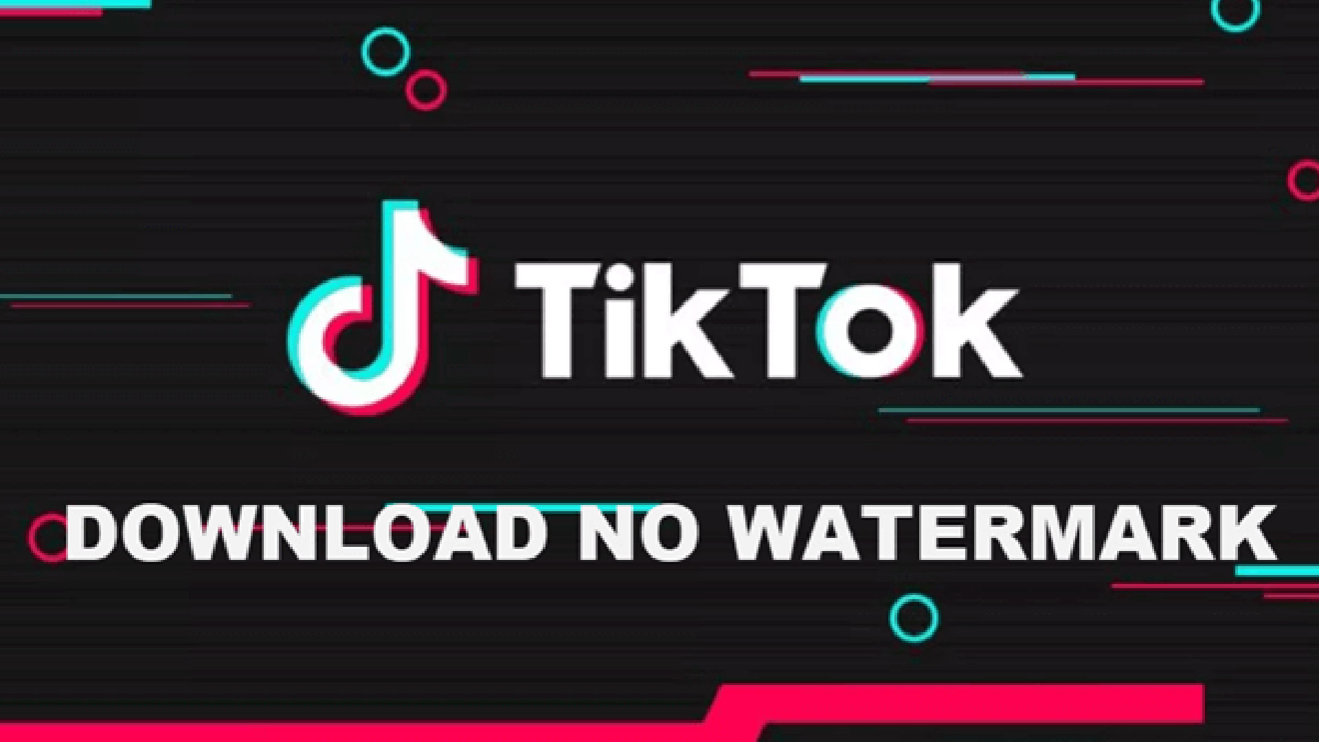 Cách tải video TikTok không dính Logo nhanh chóng và miễn phí 1 tai video tiktok khong dinh logo 01