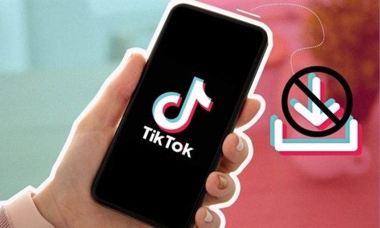 Cách tải video TikTok không dính Logo nhanh chóng và miễn phí 11 tiktok 4