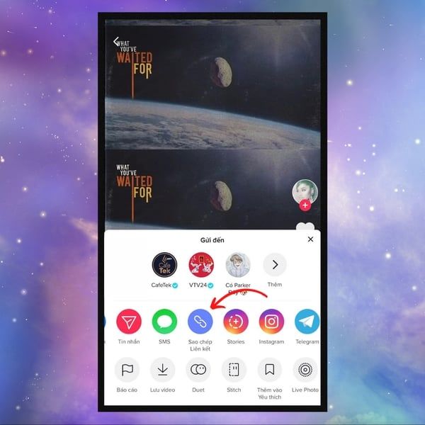 Cách tải video TikTok không dính Logo nhanh chóng và miễn phí 8 tiktok