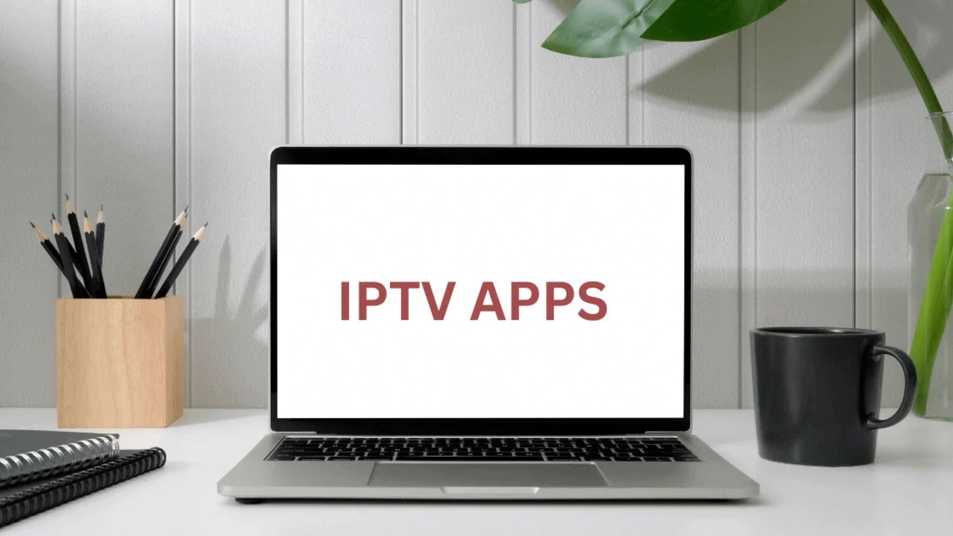 Top 11 trình phát IPTV miễn phí và trả phí tốt nhất cho máy Mac năm 2025 1 trinh phat IPTV