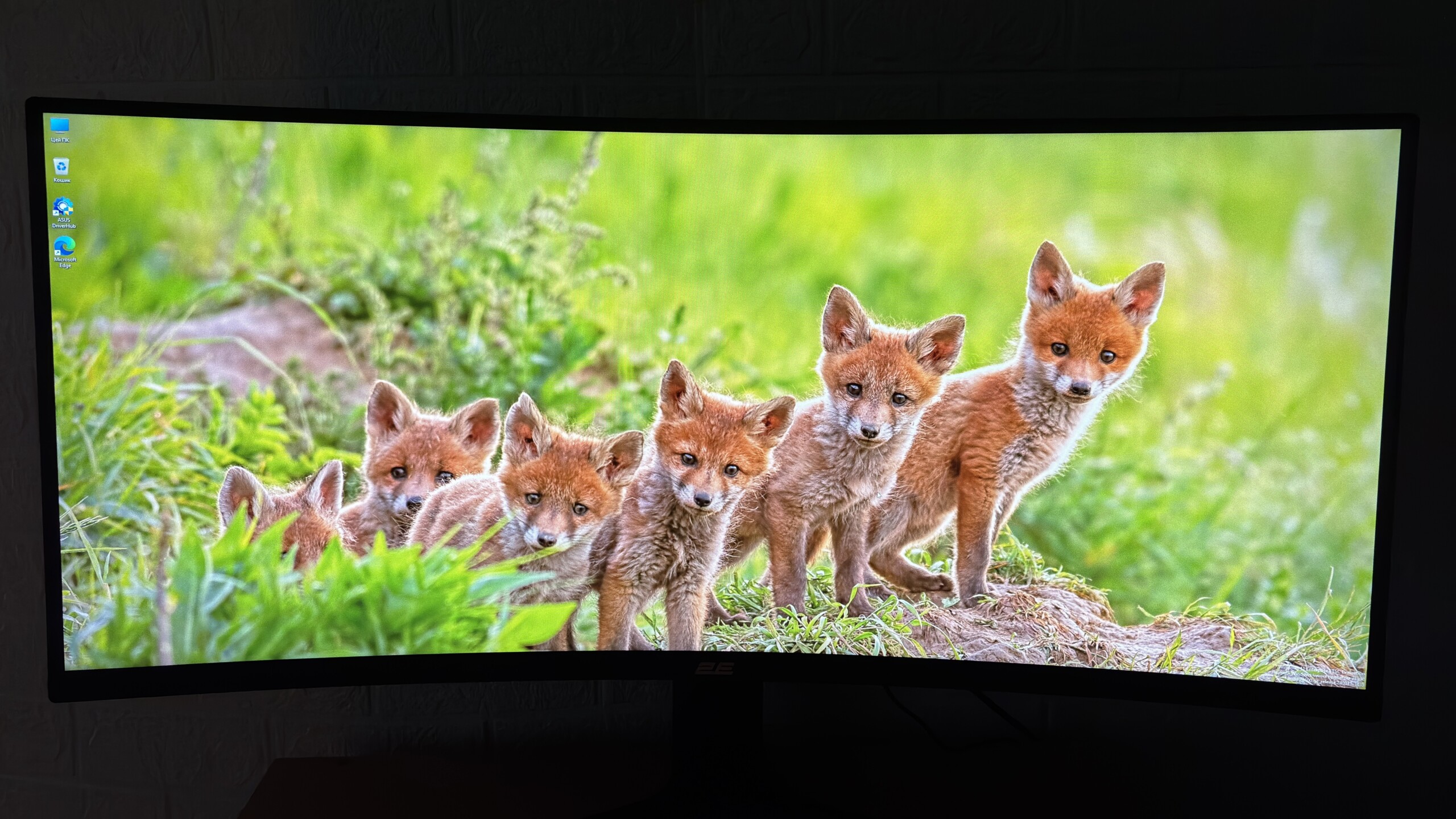 Đánh giá màn hình 2E Gaming G3424B: Màn hình cong 34 inch, 180Hz giá cực tốt cho game thủ. 26 2E Gaming G3424B 5