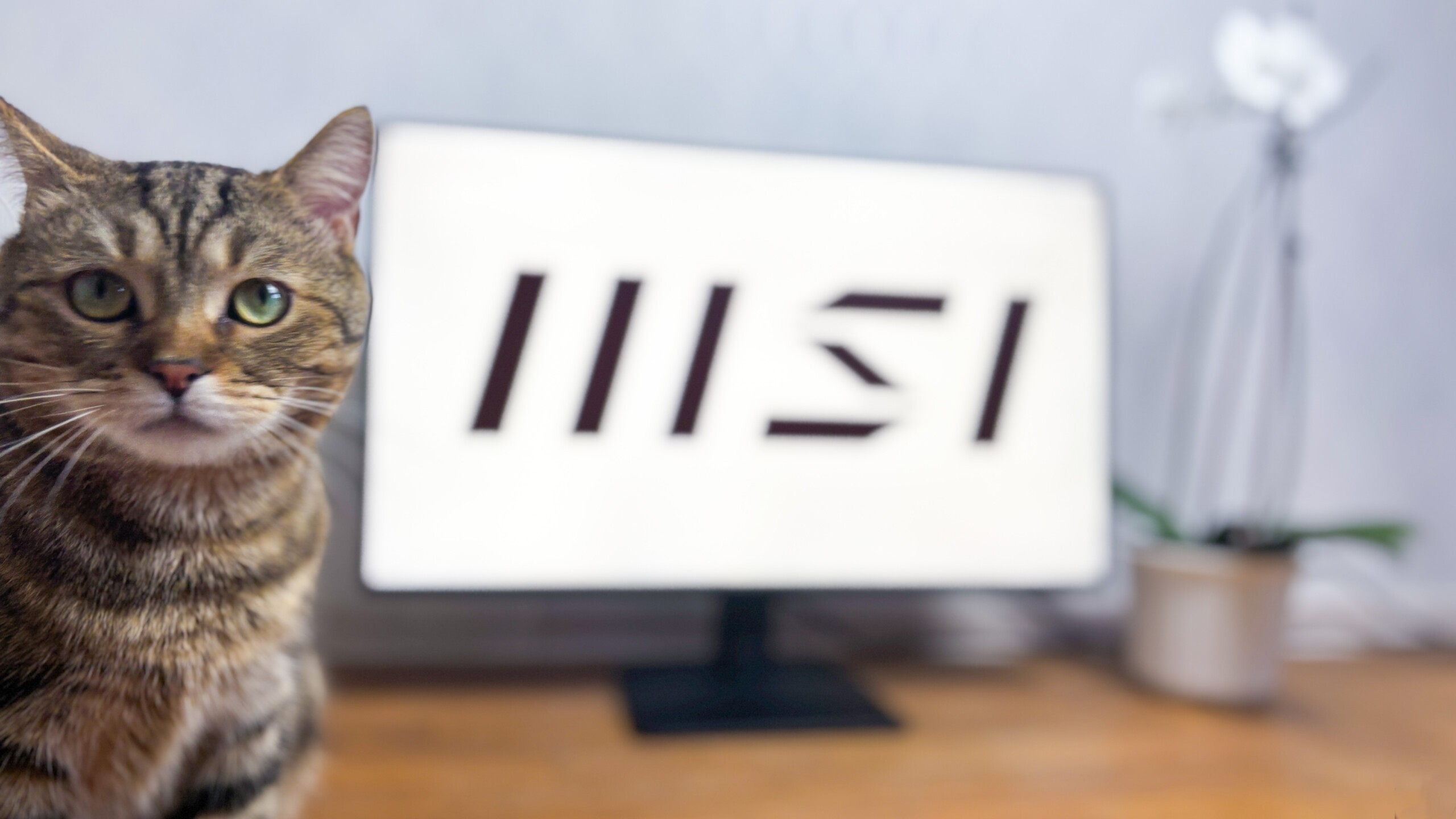 Đánh giá MSI Pro MP275 E2: Màn hình "ngon-bổ-rẻ" 120Hz cho dân văn phòng và giải trí nhẹ! 23 MSI Pro MP275 E2 2