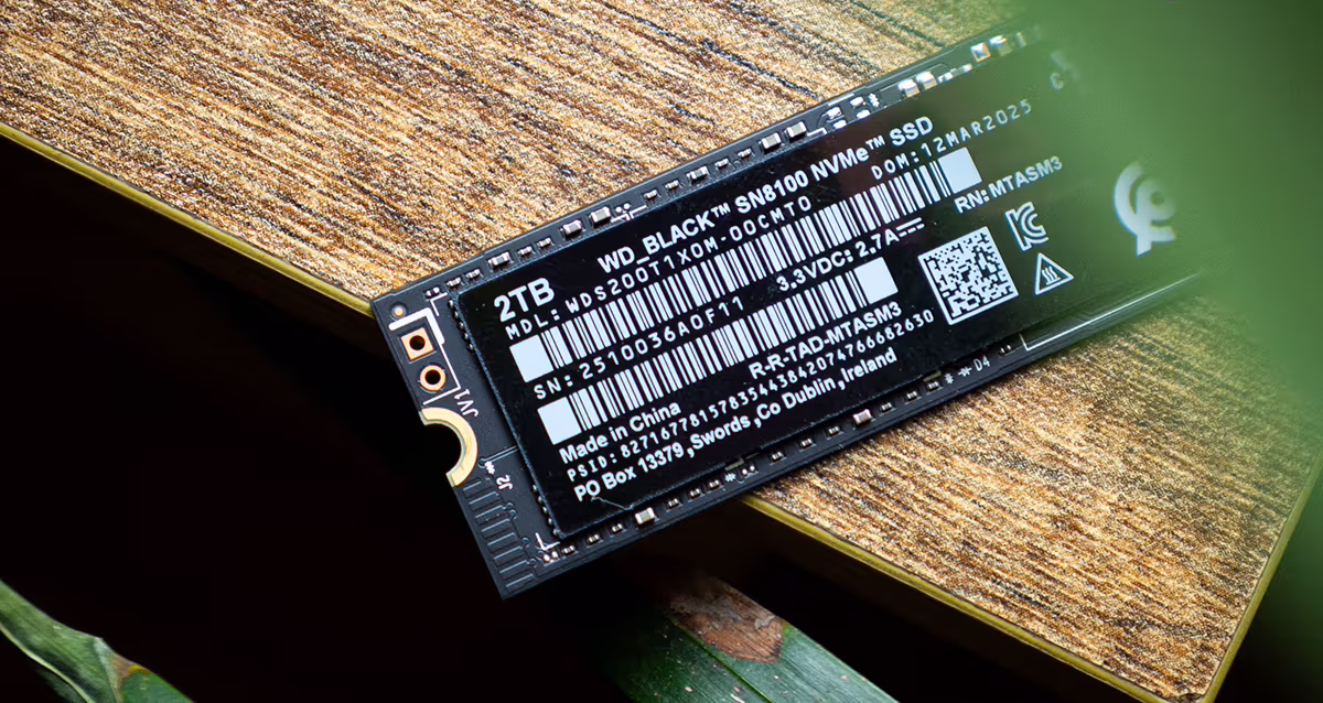 SanDisk WD Black SN8100 2TB 4 e1756957018470