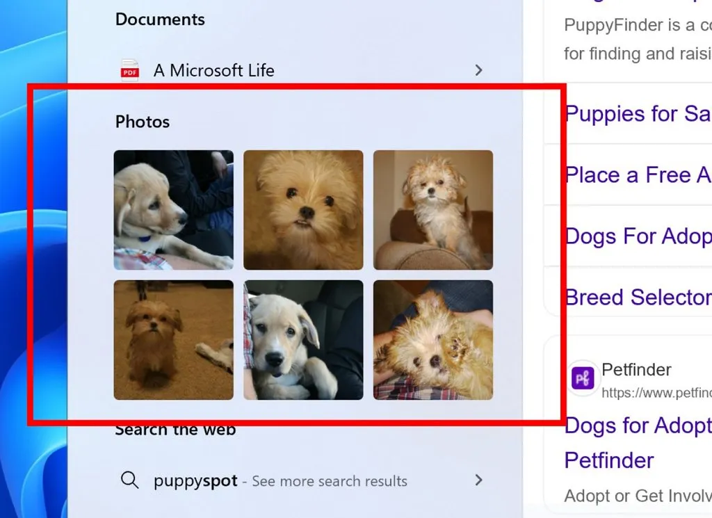 Tong hop tinh nang moi chi tiet phat hanh tuy chon nang cap cua Windows 11 25H2 12
