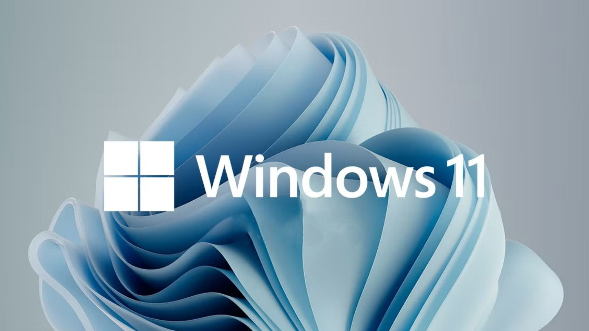 Top 10 điều đầu tiên cần làm với máy tính Windows 11 mới của bạn! 1 Top 10 dieu dau tien can lam voi may tinh Windows 11 moi cua ban 1