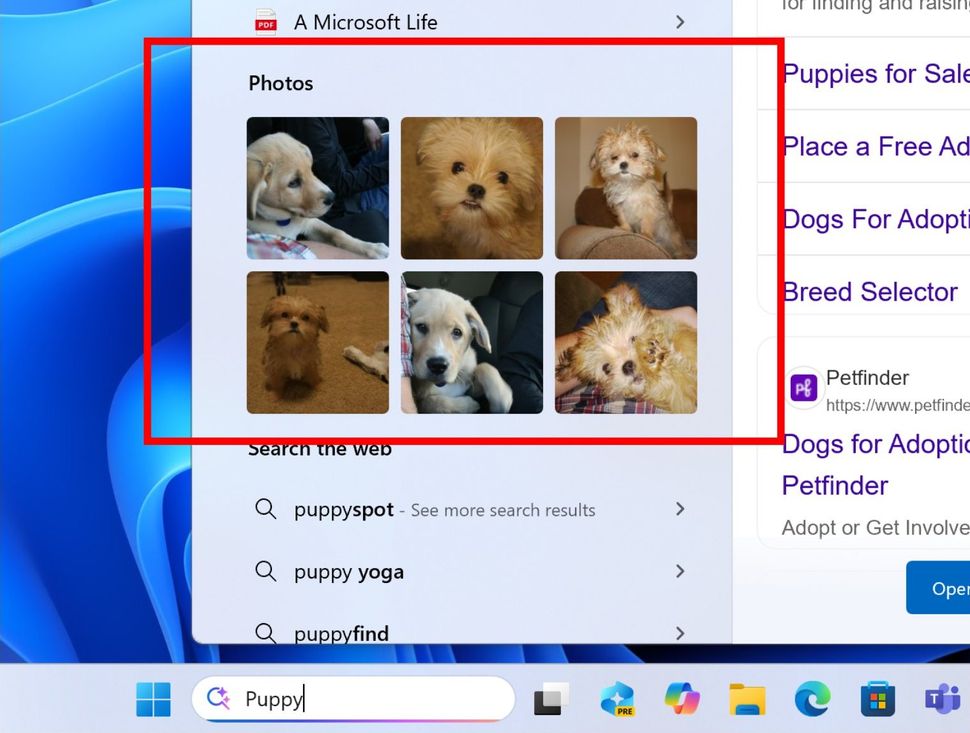 Top 9 tinh nang moi xuat hien tren Windows 11 Insider Program 3 1