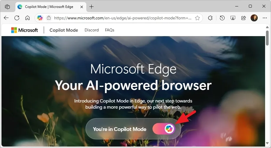 Hướng dẫn cách bật hoặc tắt chế độ Copilot cho Microsoft Edge trên Windows 11 8 cach bat hoac tat che do Copilot cho Microsoft Edge tren Windows 11 4