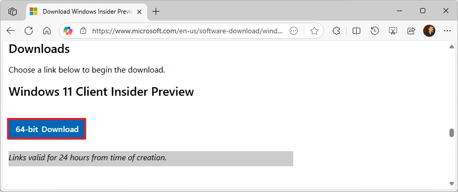 cach tai Tiny11 ISO cho Windows 11 25H2 8