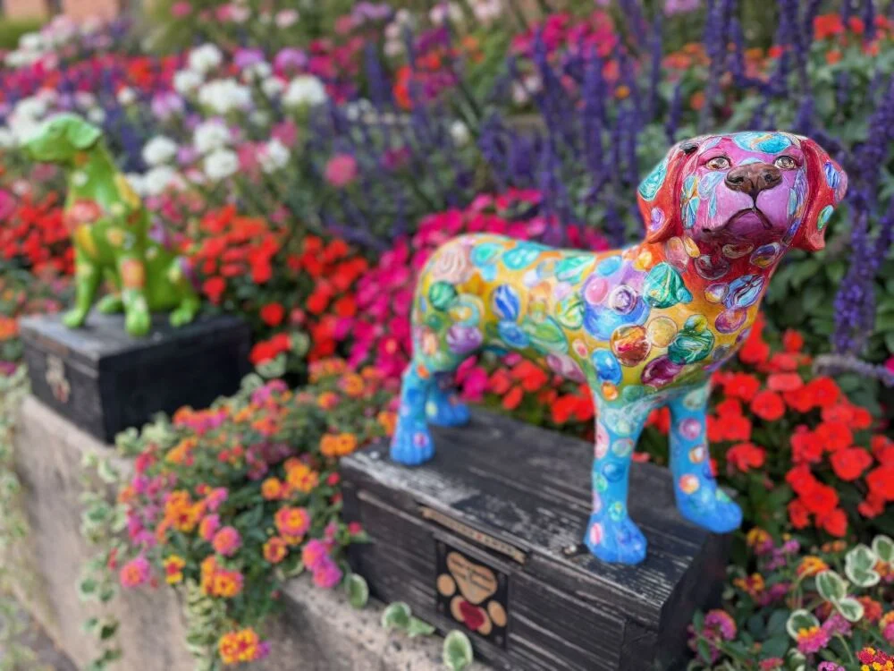 Đánh giá Apple iPhone 17 Pro: Chiếc "tiểu titan" với camera đỉnh cao 29 iPhone 17 Pro 12