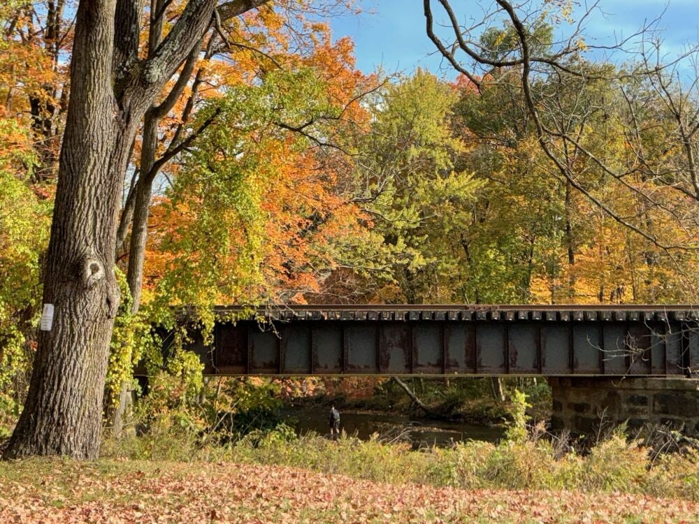 Apple iPad Pro M5 2025 8