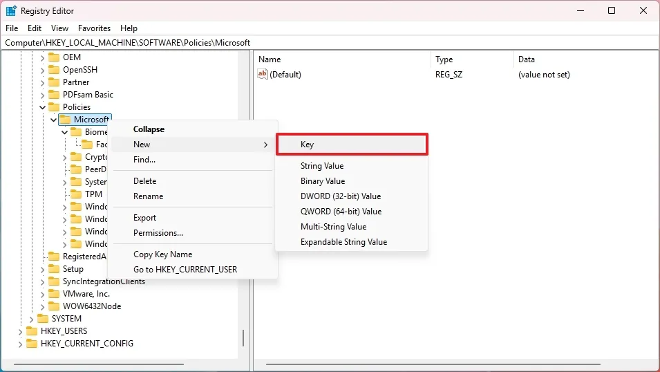 cach bat tinh nang bao ve chong gia mao cho Windows Hello Face tren Windows 114