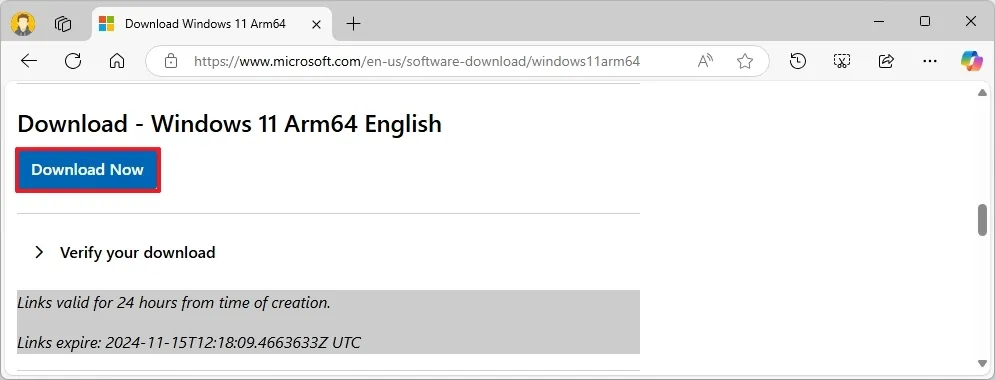 cach tai xuong tep ISO Windows 11 25H2 cho PC arm64 va Copilot11