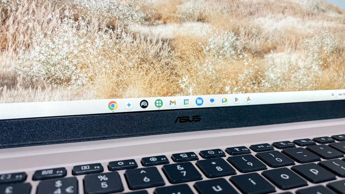 Asus Chromebook CX15 3