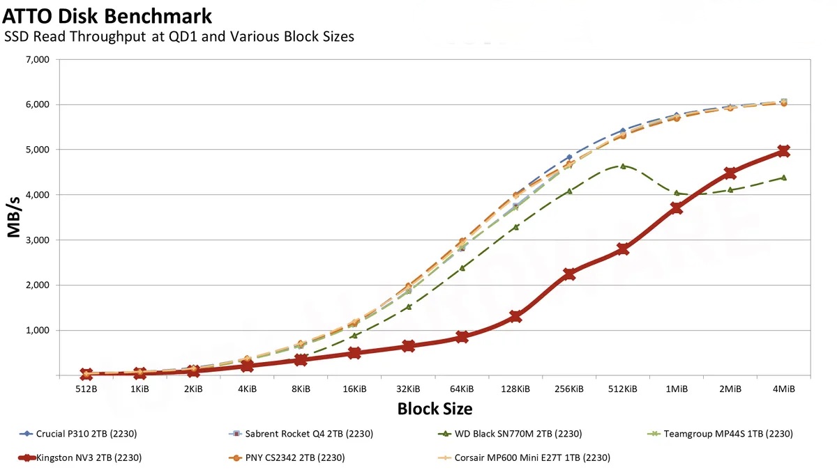 GondnhRYH6RWtpkkRQfQ5H 1200 80.png