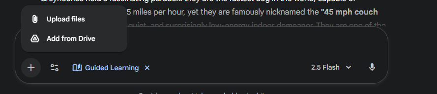 Google ra mat dich vu AI moi 3