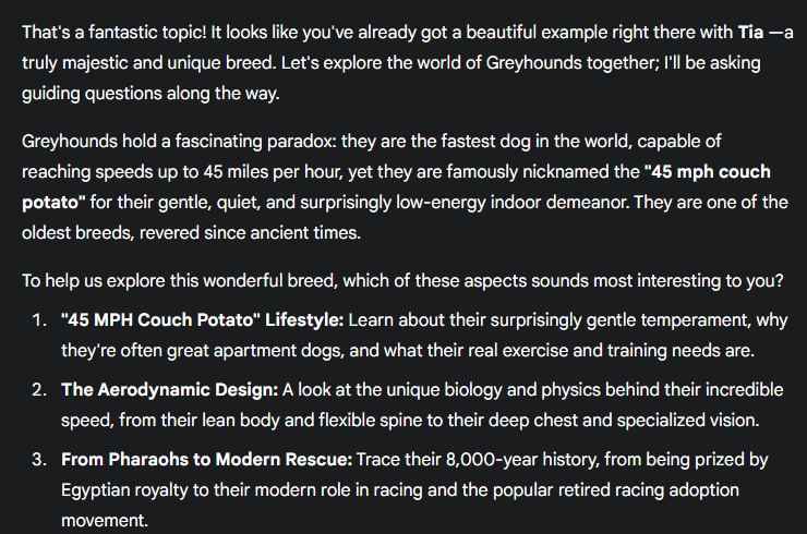 Google ra mat dich vu AI moi 4