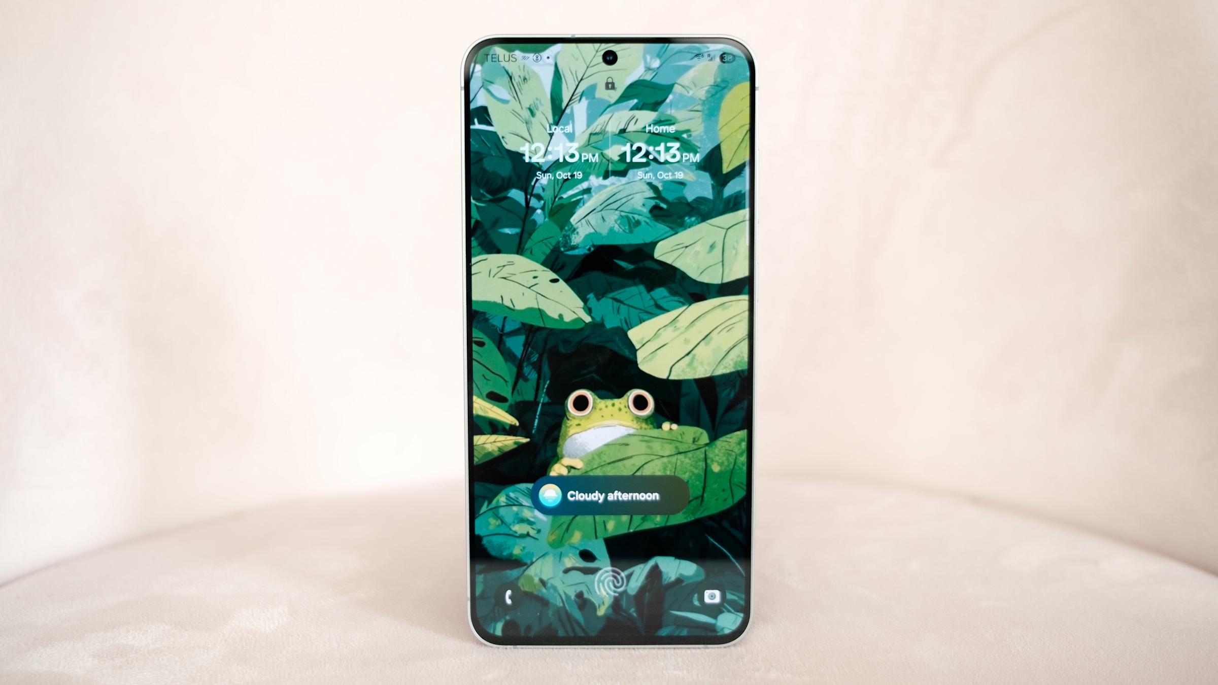 Samsung Galaxy S25 FE 2