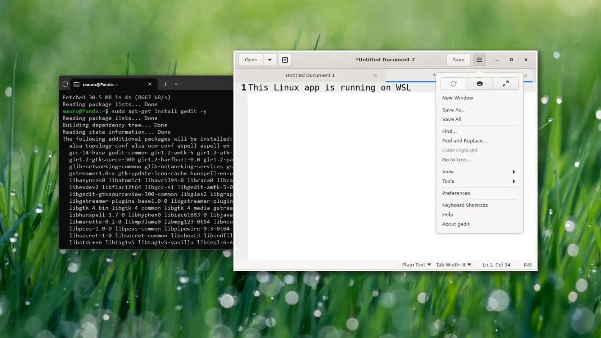 cach cai dat ung dung GUI Linux tren Windows 11 101