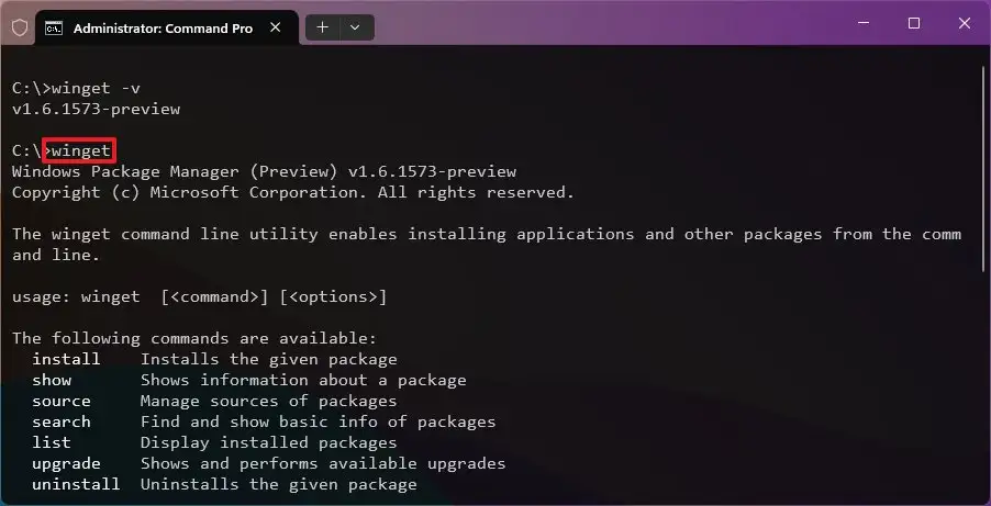 cach cai dat winget tren Windows 11 104