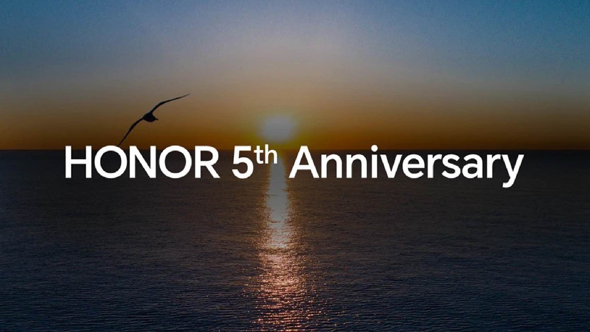 ezgif 73bd06e6f53fb837 01