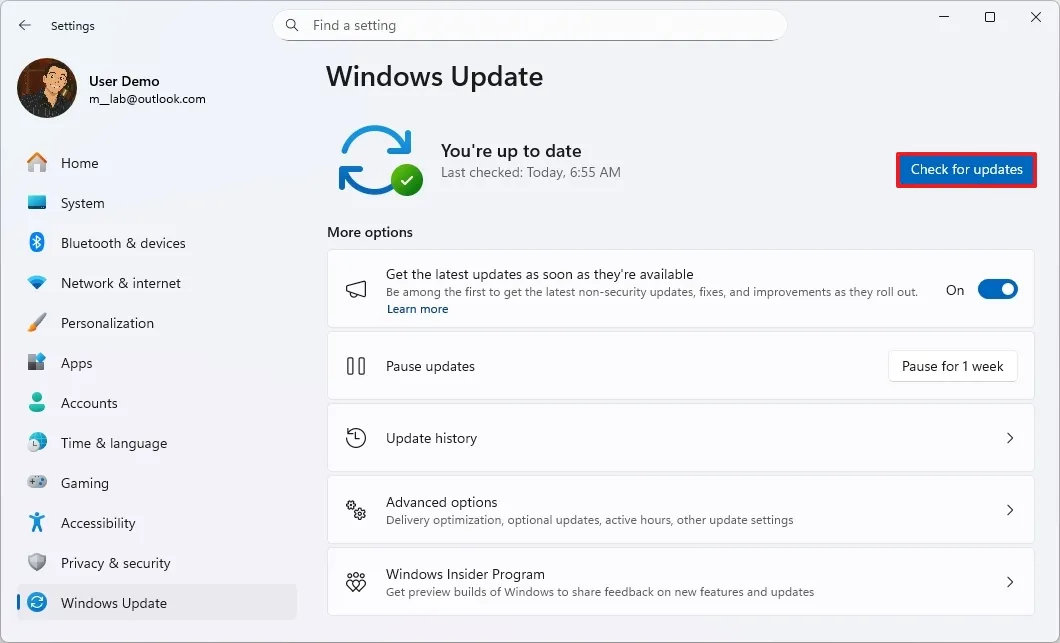 windows 11 install insider preview builds