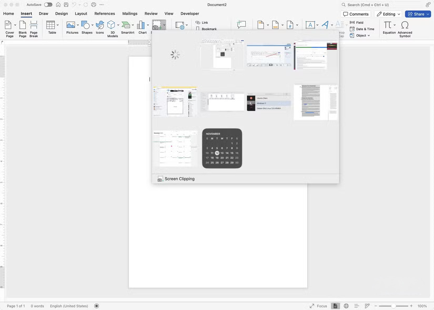 word insert screenshot