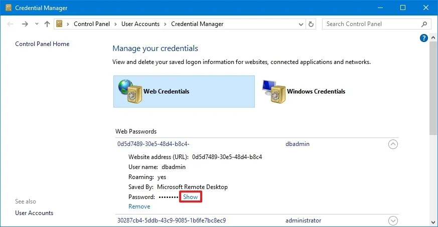 Hướng dẫn cách sử dụng Credential Manager trên Windows 10 13 cach su dung Credential Manager tren Windows 1012