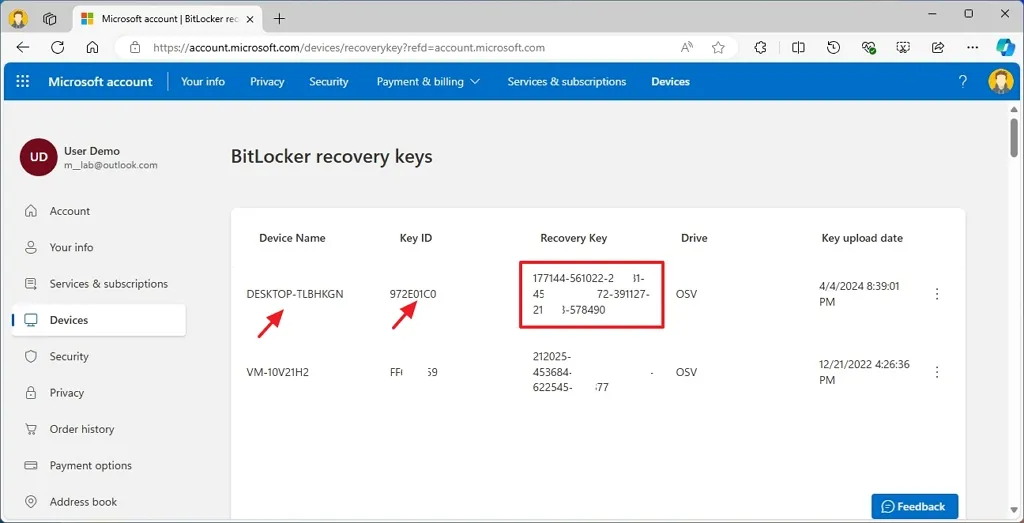 Hướng dẫn cách tìm khóa khôi phục BitLocker trên Windows 11 6 cach tim khoa khoi phuc BitLocker tren Windows 115