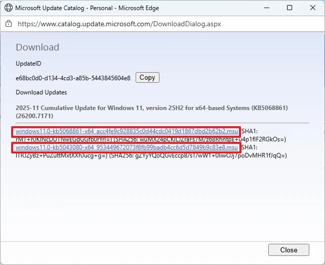 cai dat ban cap nhat thu cong tren Windows 119