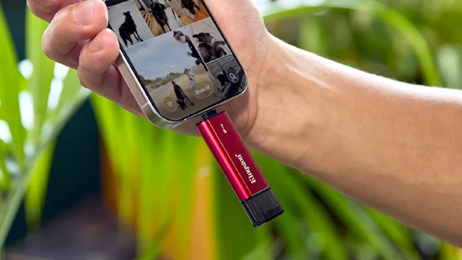 ezgif 7ce26c64577272ab 01