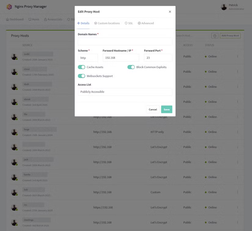nginx proxy manager my hosts